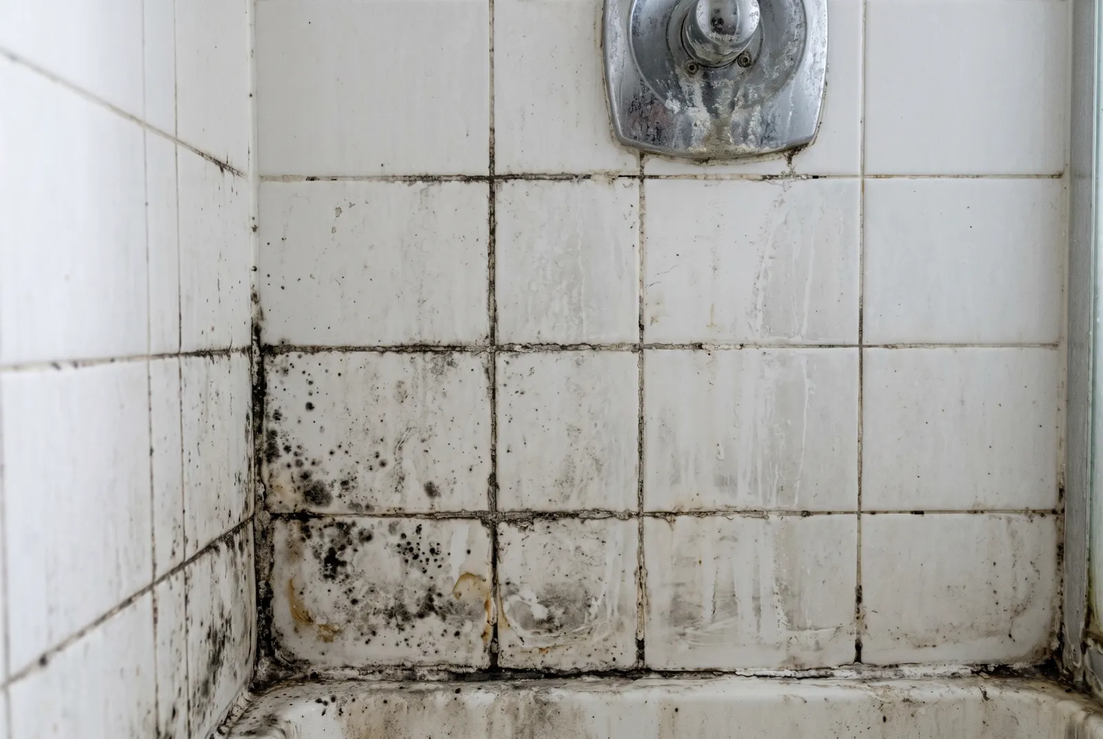 Tile & grout before cleaning
